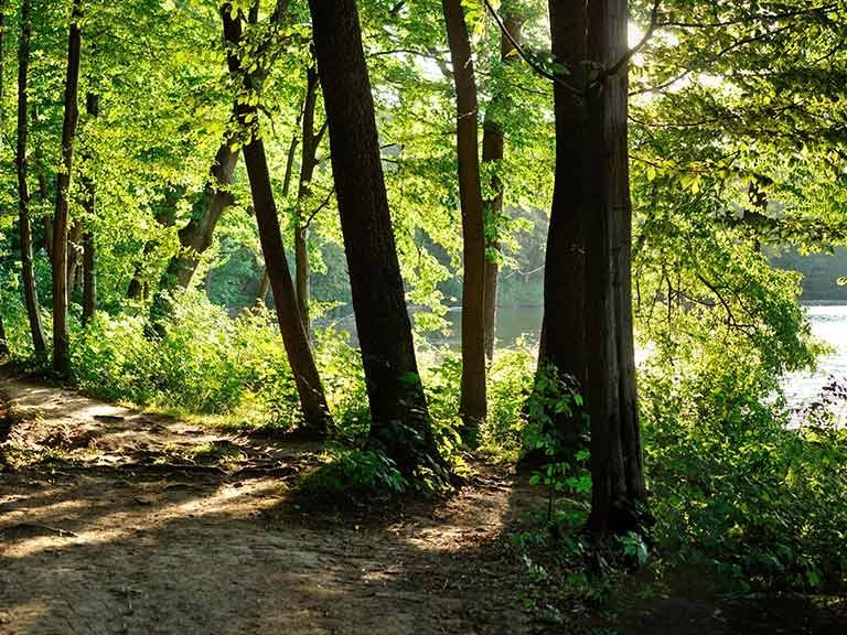 Welchen Effekt haben naturbasierte Therapien?