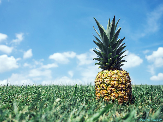 Bromelain bei Verletzungen der Achillessehne Bromelain bei Verletzungen der Achillessehne