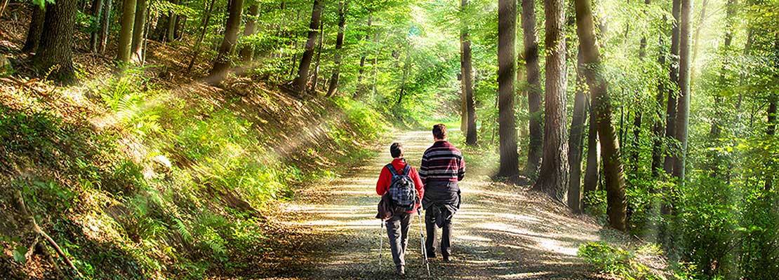 "Waldbaden: Prävention und Therapie