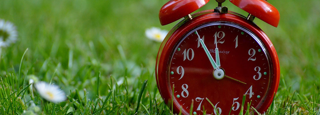 Chronobiologie: Leben mit der Zeit Chronobiologie: Leben mit der Zeit