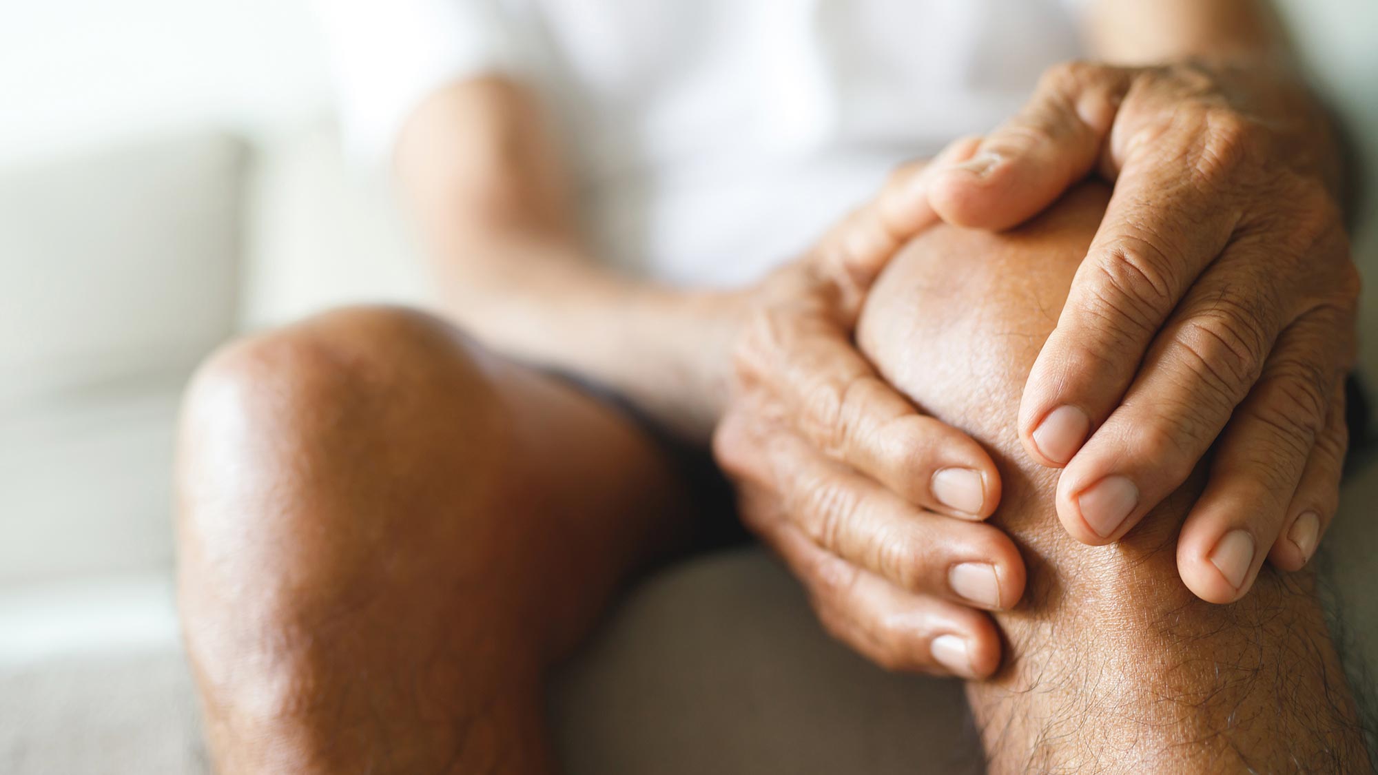 Kniearthrose: Zanthoxylum rhetsa lindert Schmerzen ähnlich wie Diclofenac