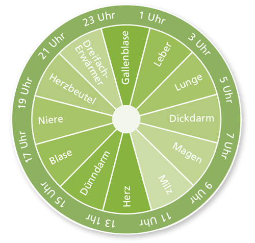 Die chinesische Organuhr