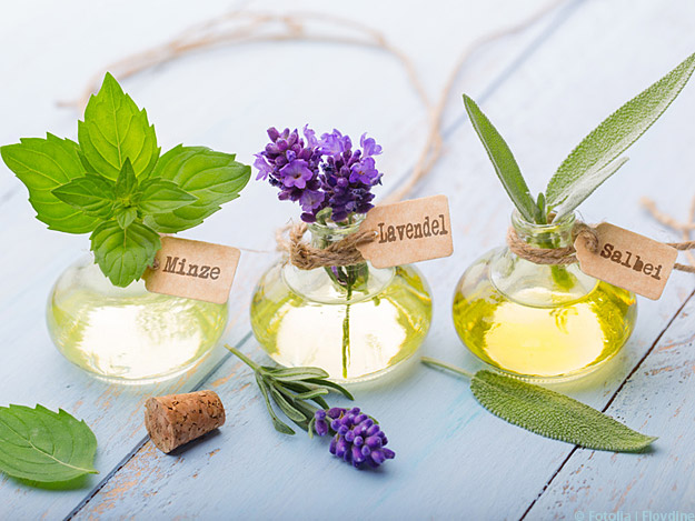 Carstens-Stiftung: Aromatherapie im Krankenhaus als Hilfe gegen Schmerz, Übelkeit und Angst. Carstens-Stiftung: Aromatherapie im Krankenhaus als Hilfe gegen Schmerz, Übelkeit und Angst