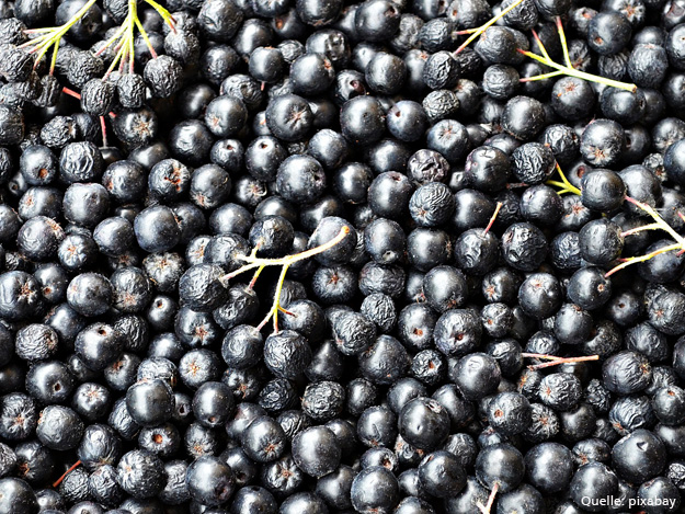 Carstens-Stiftung: Aronia-Saft bei Cellulite.