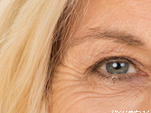 Überblickstudie zu Glaukom, Katarakt und Altersabhängige Makuladegeneration.