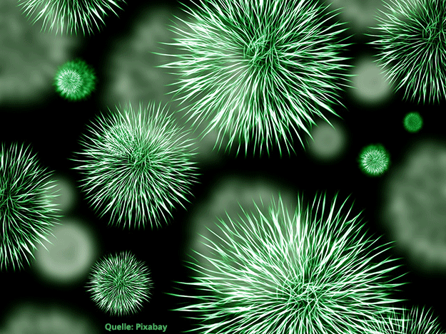 Phytotherapie unterstützt Antibiotika Carstens-Stiftung: Phytotherapie unterstützt Antibiotika.