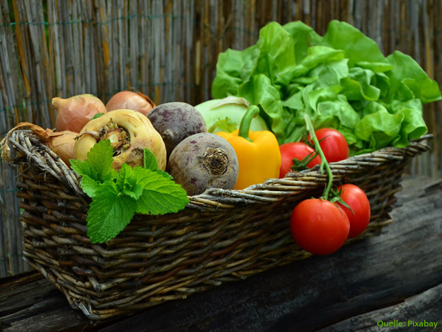 Basenreiche Kost bei Adipositas und Hypertension