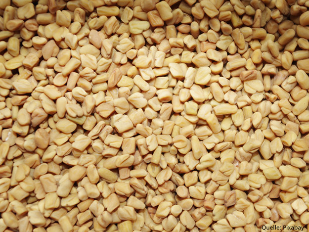 Bockshornklee in der Diabetestherapie Carstens-Stiftung: Bockshornklee in der Diabetestherapie