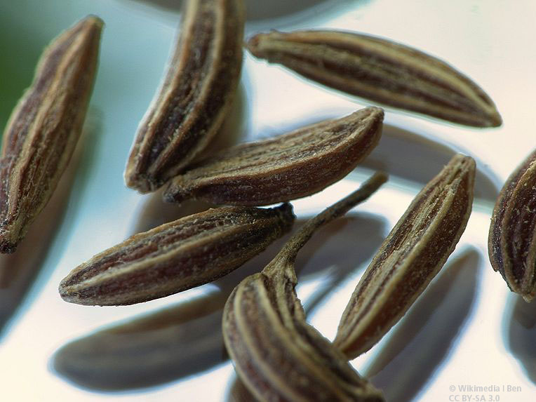 Kümmel hemmt den Appetit.