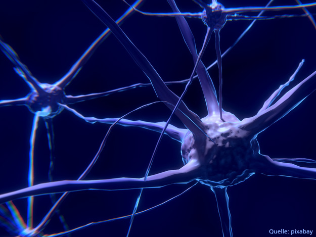 Carstens-Stiftung: Verändert Vitamin E-Einnahme das Risiko, einen Schlaganfall zu erleiden?