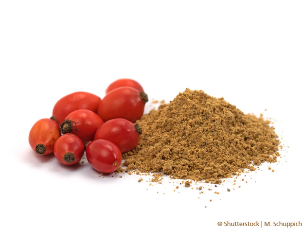 Natürlich gegen Gelenk- und Rückenschmerz