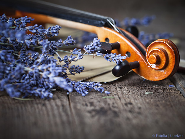 Musik und Aromatherapie beruhigen Intensivpatienten Carstens-Stiftung: Musik und Aromatherapie beruhigen Intensivpatienten.